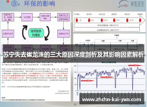苏宁失去崔龙洙的三大原因深度剖析及其影响因素解析