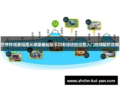 世界杯观赛指南从哪里看起新手到老球迷的完整入门路线解析攻略