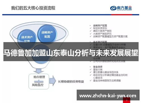 马德鲁加加盟山东泰山分析与未来发展展望