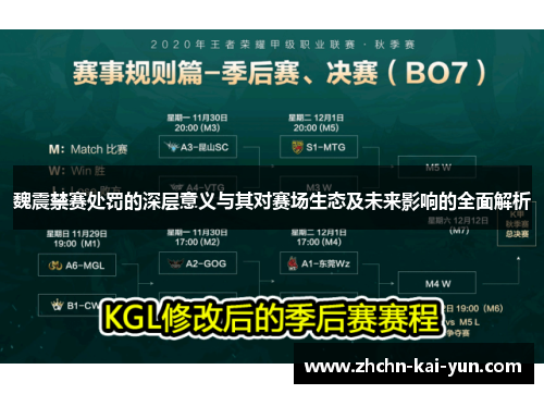 魏震禁赛处罚的深层意义与其对赛场生态及未来影响的全面解析